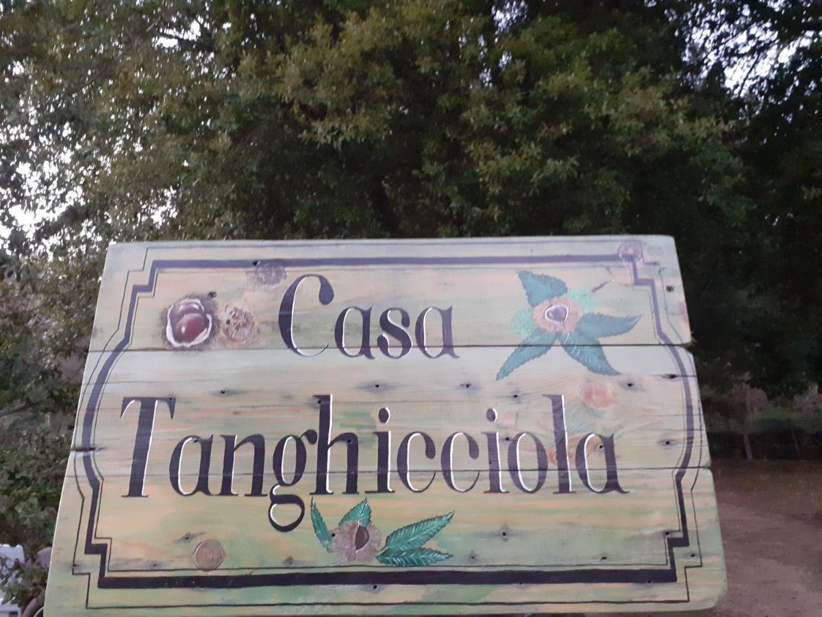 Apartmán Casa Tanghicciola Levie Exteriér fotografie