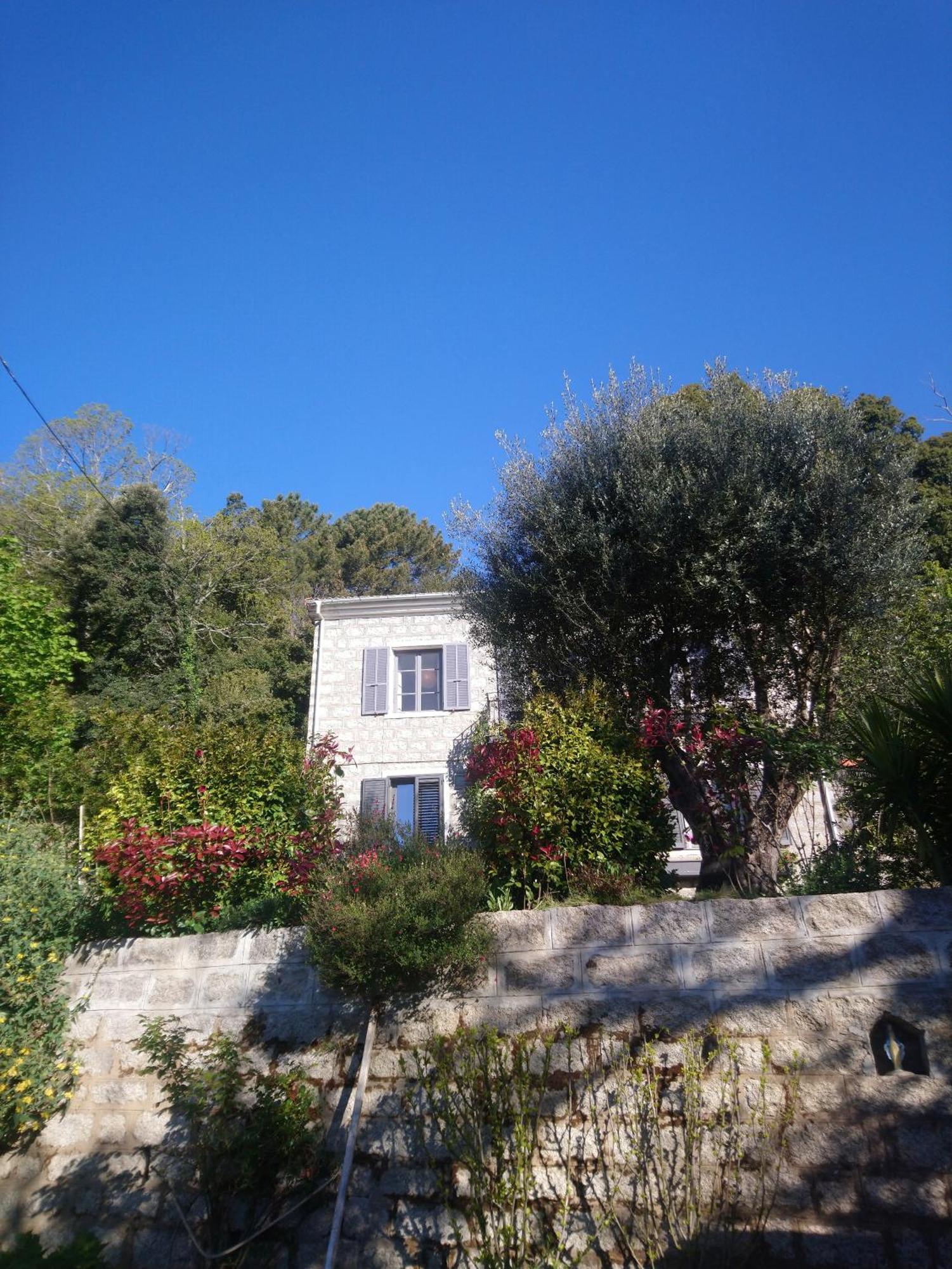 Apartmán Casa Tanghicciola Levie Exteriér fotografie