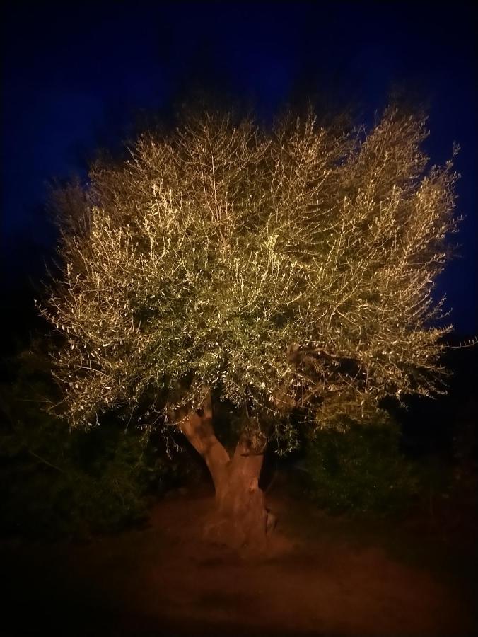 Apartmán Casa Tanghicciola Levie Exteriér fotografie